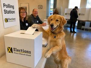 AI Generated image, approved by Elections PEI for educational purposes