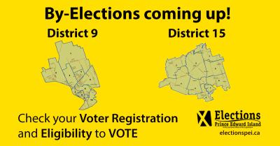 D9D15BYelection